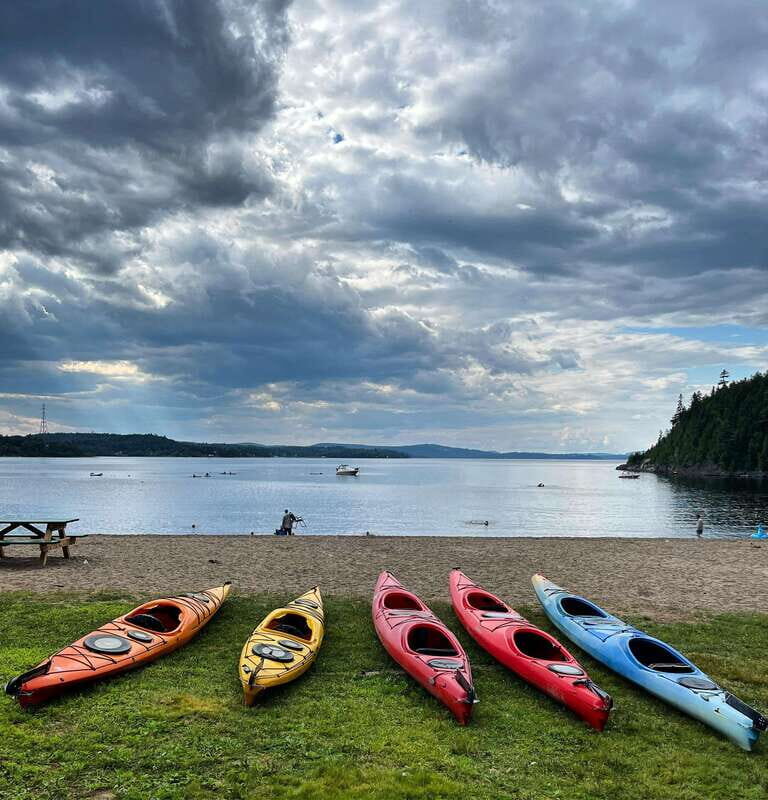 Saint John River: River Relics Kayak Tour - Wildlife Spotting Opportunities