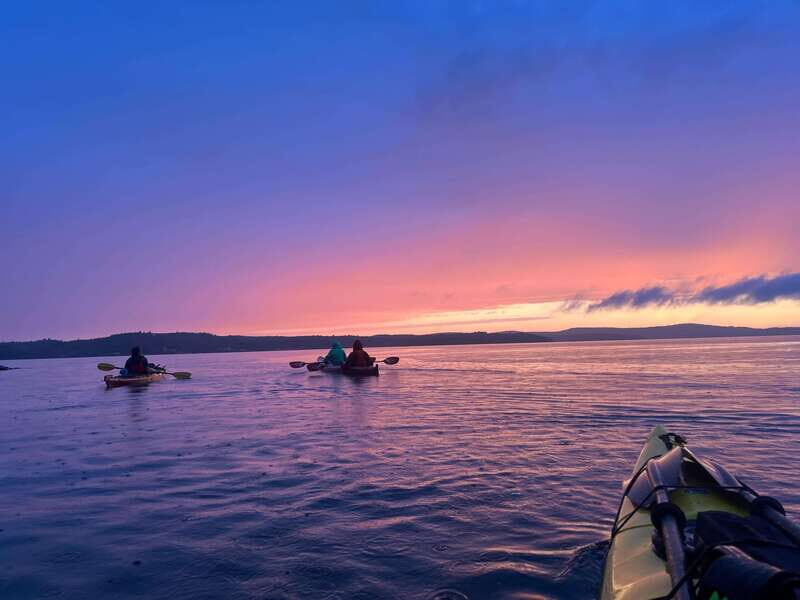 Saint John River: River Relics Kayak Tour - Who Will Love This Tour?