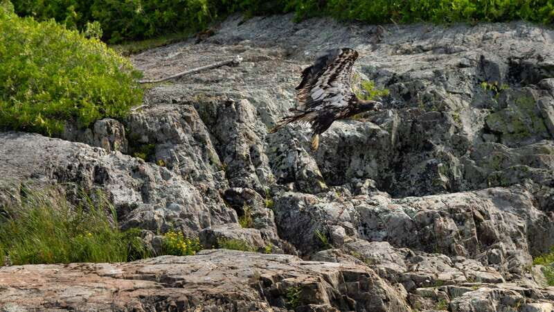 Saint John River: River Relics Kayak Tour - Final Thoughts