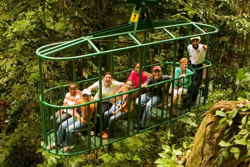 Saint Lucia: Aerial Tram Tour at Rainforest Adventures - Key Points