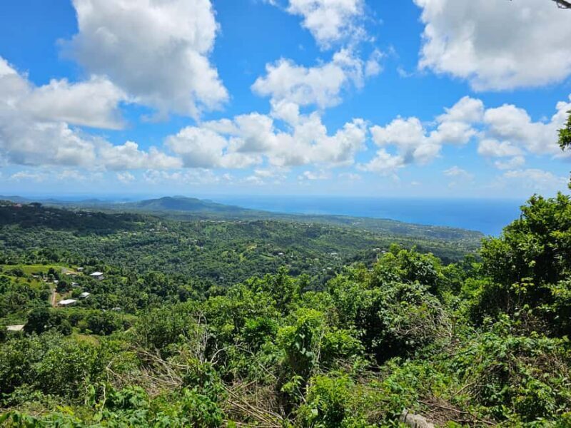 Saint Lucia: Piton Hike - Saint Lucia: Piton Hike — A Detailed Review