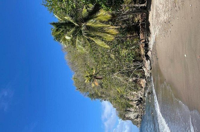 Saint Lucia Private East Coast Tour - FAQ