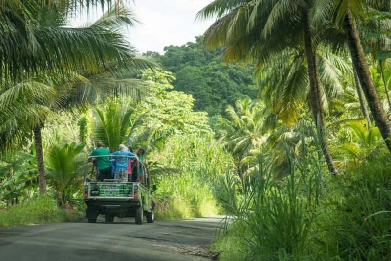 Saint Lucia: Soufriere Volcano Experience - Exploring the Details of the Soufriere Volcano Experience
