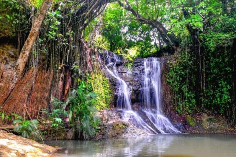 Saint Lucia: Thrill Seeker 6-Day Adventure Tour - FAQ