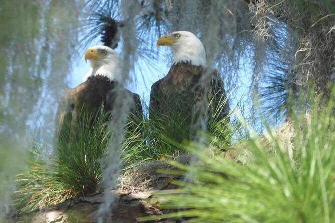 Saint Petersburg Preserve Bike Tour - FAQs