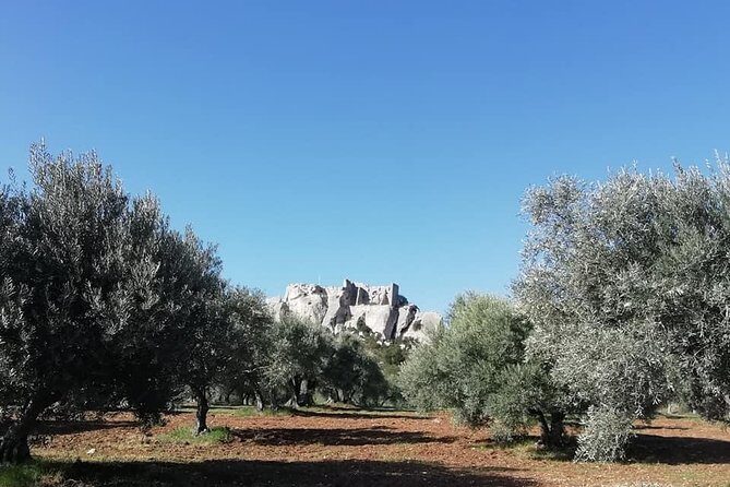 Saint Remy, Les Baux and Pont du Gard Small Group Day Trip - Transportation and Group Size