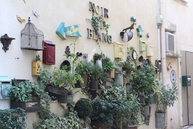 Saint Remy, Les Baux and Pont du Gard Small Group Day Trip - Who Will Love This Tour?