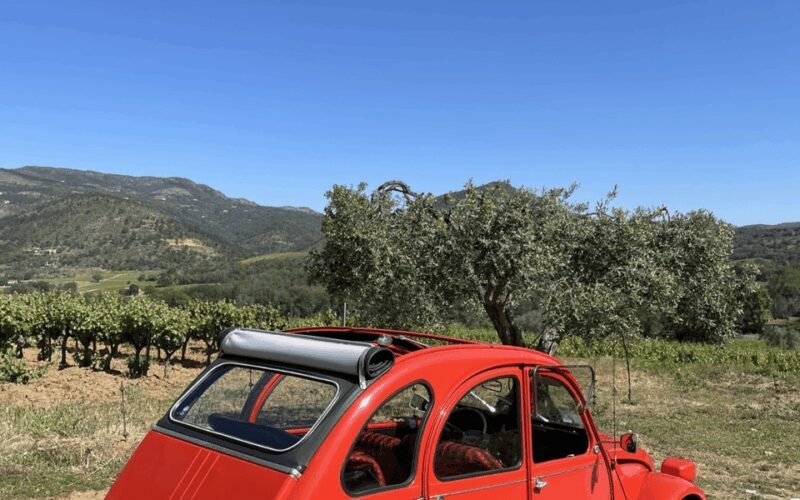 Saint-Tropez: Vintage Car Wine Tour - Who Is This Tour Best For?