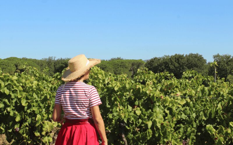 Saint-Tropez: Vintage Car Wine Tour - Final Thoughts