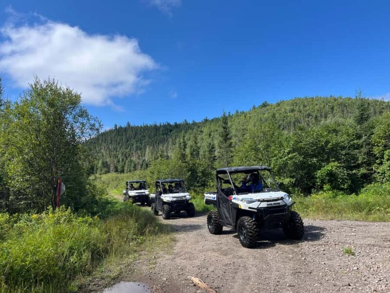 Sainte-Rose du Nord: Guided Tour in an Electric Side-by-Side - A Closer Look at the Sainte-Rose du Nord Electric Side-by-Side Tour