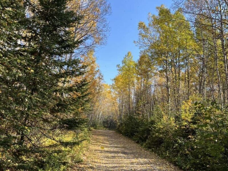 Sainte-Rose-du-Nord: Polaris Ranger Off-Road Adventure - Who Should Consider This Tour?