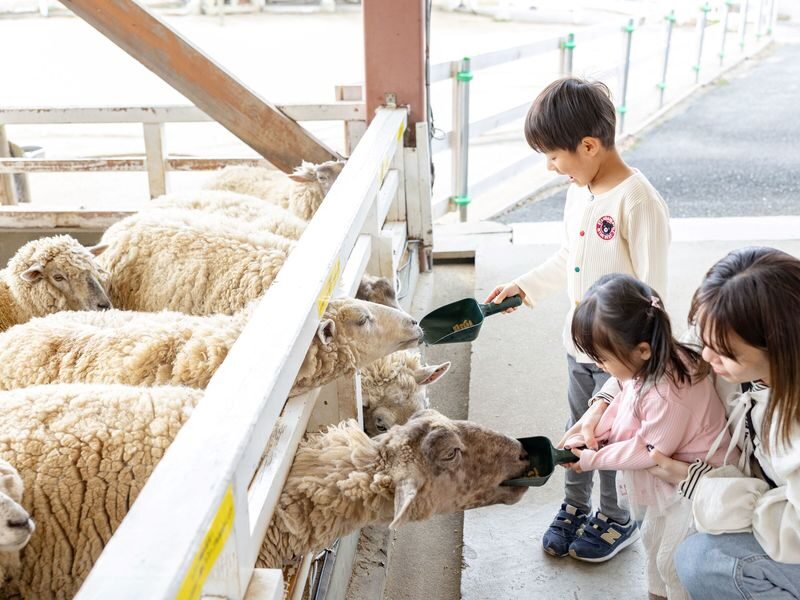 Sakai Green Museum Harvest Hill: Harvest Hill Admission Ticket - Flowers give the park its seasonal character