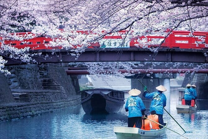 Sakura Magic and Nabana No Sato Day Tour From Osaka - Experience the Magic of Japan’s Spring on a Day Tour from Osaka