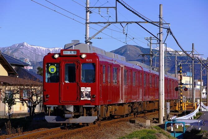 Sakura Magic and Nabana No Sato Day Tour From Osaka - Key Points