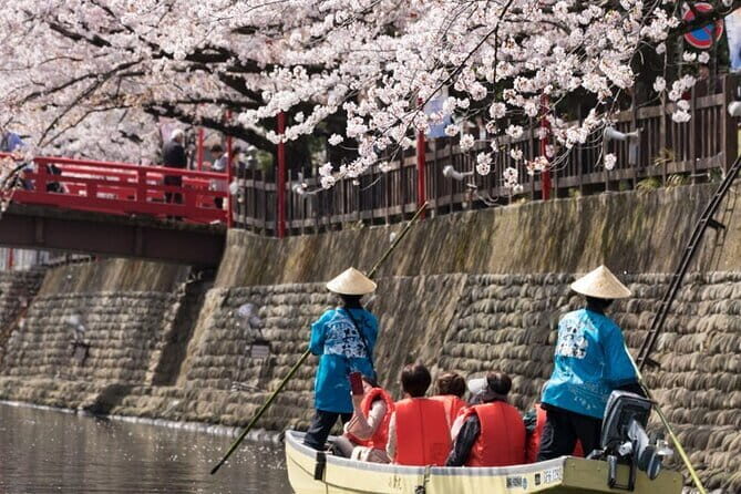 Sakura Magic and Nabana No Sato Day Tour From Osaka - Who Would Love This Tour?