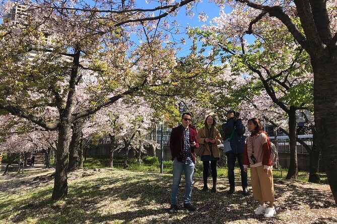 Sakura Picnic "Hanami" in Osaka - Spring Only - Pricing and Value