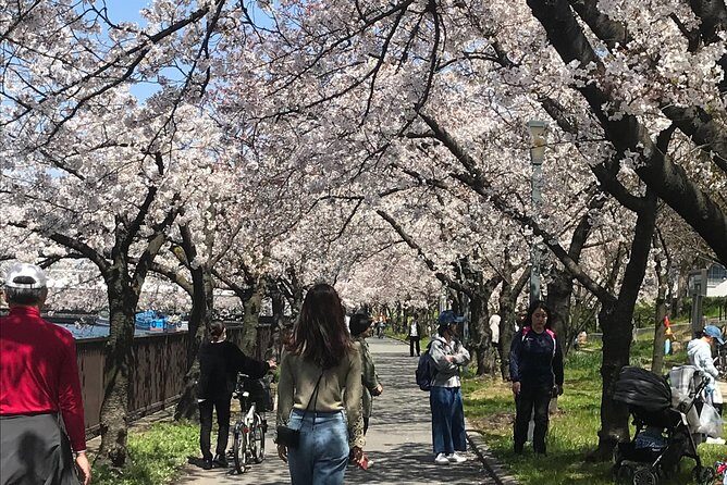Sakura Picnic "Hanami" in Osaka - Spring Only - Who Should Consider This Tour?
