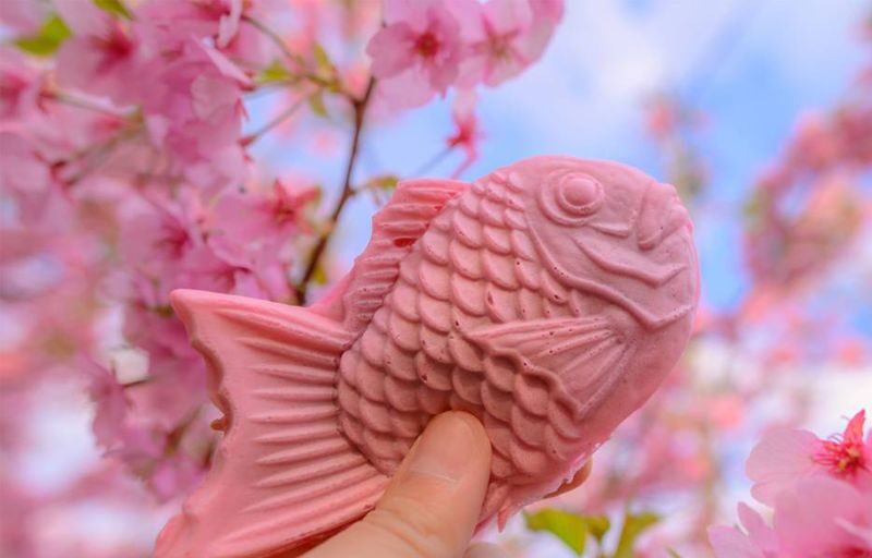 Sakura Season Small Group Tour of 9: Izu Cherry Blossom Viewing and Seaside Day Trip | Kawazu Cherry Blossom Festival & Izu Seaside Train & Jogasaki Coast | Chinese Service | Round-trip from Tokyo with Optional Hotel Transfer - The Coastal Train Adds a Different View