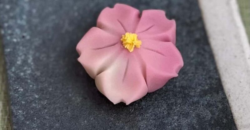 Sakura Sweets Making & Tea Ceremony in Ikegami Plum Garden - Who Will Appreciate This Tour?