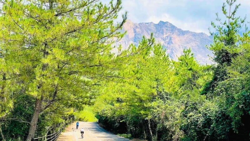 Sakurajima Century Lava Climb Journey with E-bike - Final Thoughts: Who Will Enjoy This Tour?