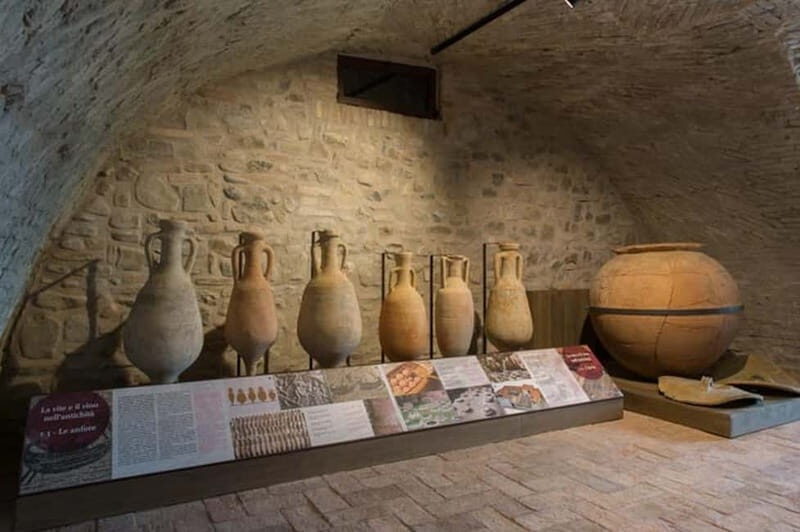Sala Baganza: Wine Museum Ticket - What Is Included and How Does It Work?