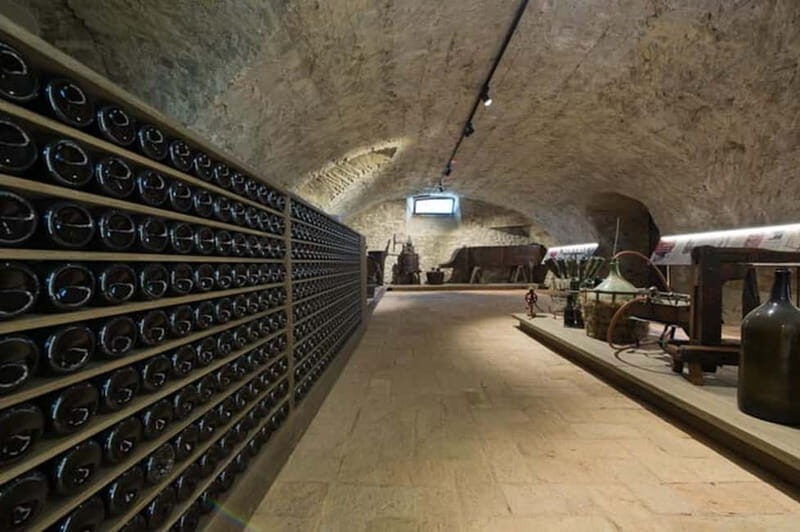 Sala Baganza: Wine Museum Ticket - Discovering Tools and Artifacts from the Past