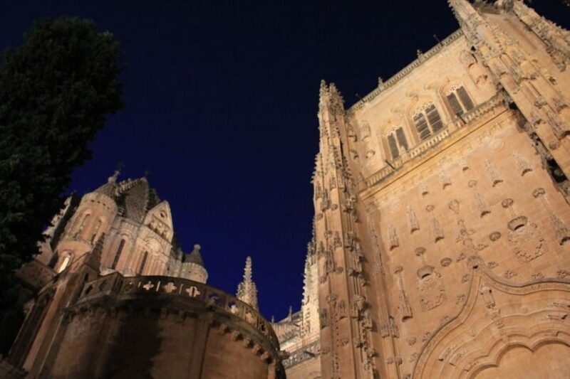 Salamanca: Evening Sightseeing Walking Tour - Who Will Love This Tour?
