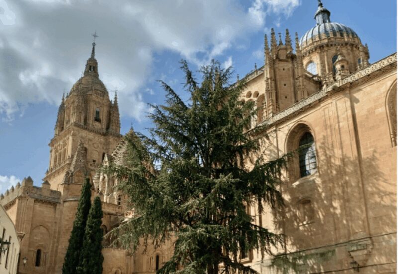 Salamanca Genial Tour privado - Why This Tour Offers Great Value