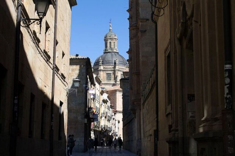 Salamanca: Guided Sightseeing Tour by Bicycle - The Sum Up