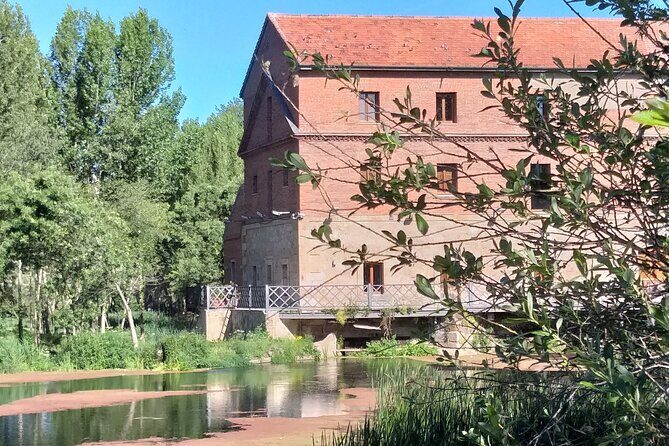 Salamanca Like a Local: Customized Private Tour - Discover Salamanca Through a Locals Eyes: A Deep Dive into the Private Customized Tour