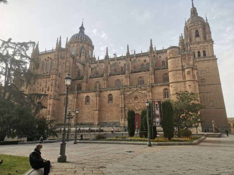 Salamanca: Monuments and Landmarks Guided Walking Tour - Who Should Consider This Tour?