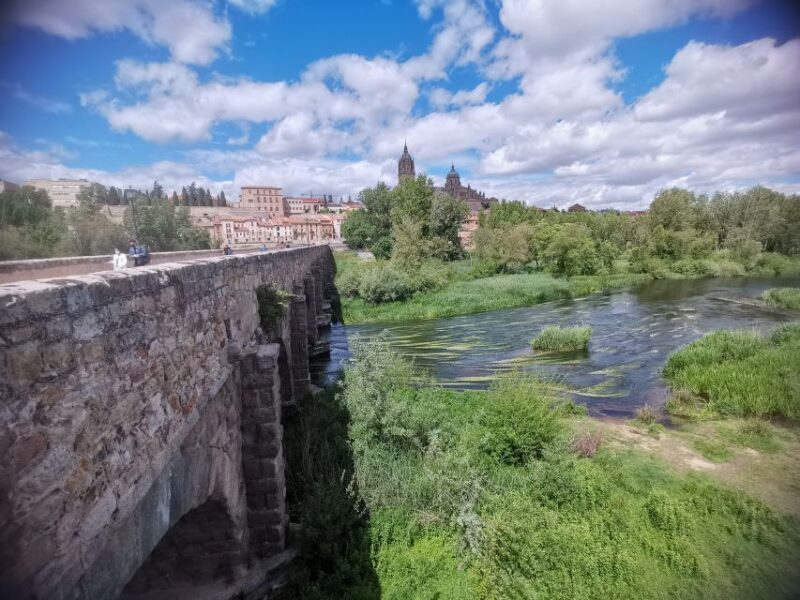 Salamanca: Monuments and Landmarks Guided Walking Tour - Final Words