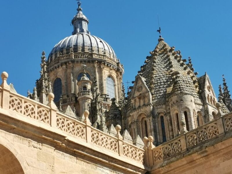 Salamanca: Monuments and Landmarks Guided Walking Tour - Experience Provider