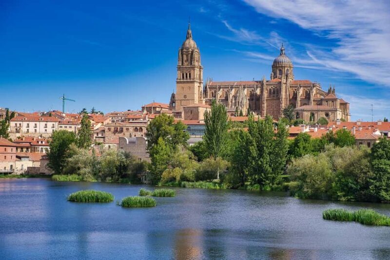 Salamanca: Private 2-Hour Intro City Walk with Local Guide - Why Choose This Tour?