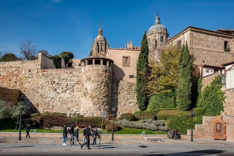 Salamanca: Private 2-Hour Intro City Walk with Local Guide - FAQ