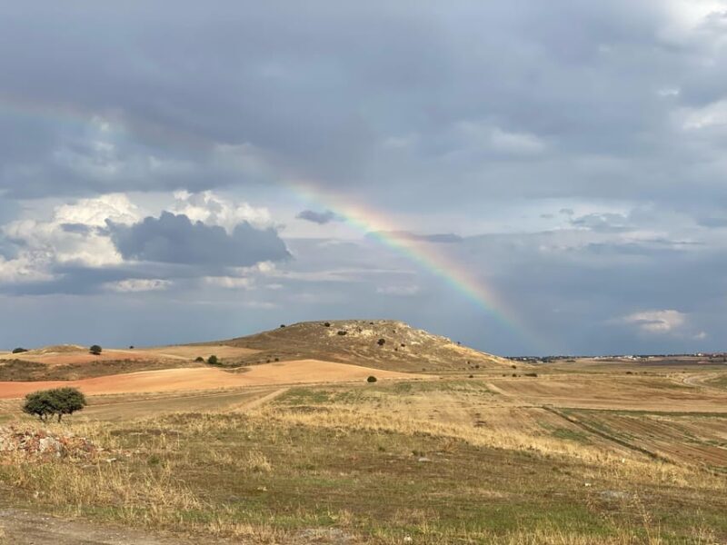 Salamanca: Private Battlefields of Salamanca Full-Day Trip - Who Will Love This Tour?