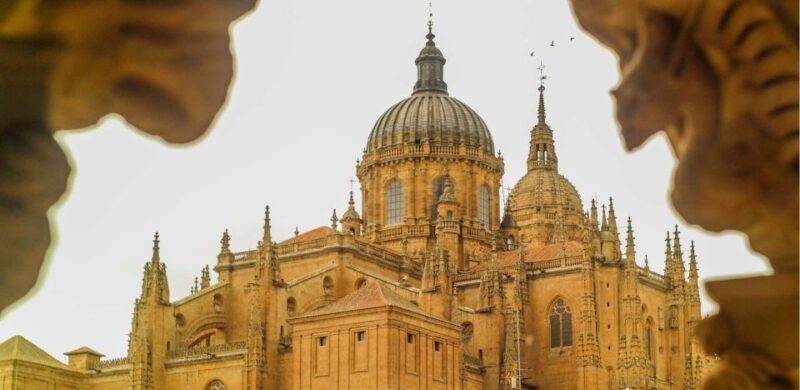 Salamanca: Private Guided Customizable Walking Tour - Who Should Book This Tour?
