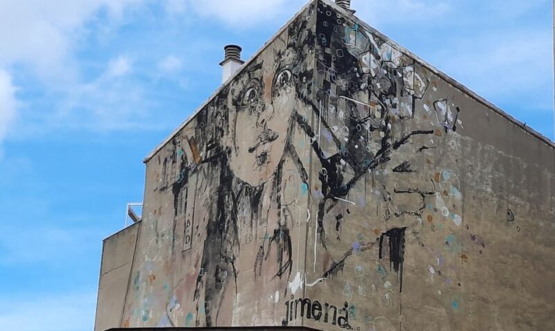 Salamanca: Private Guided Street Art Walking Tour - The Practicalities: What You Need to Know