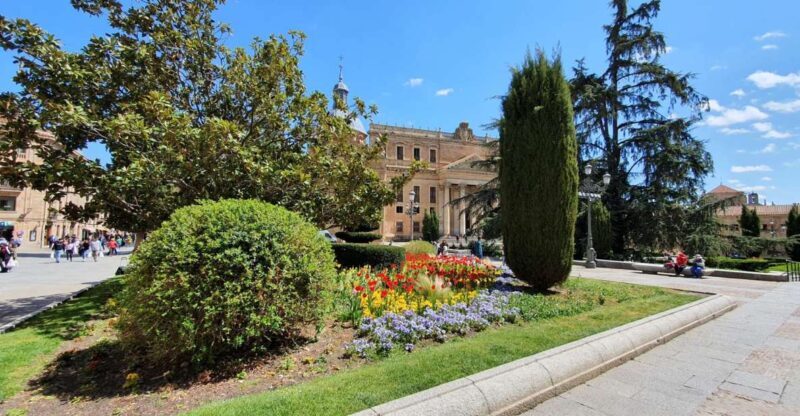 Salamanca: Private Literary History Walking Tour - Salamanca: Private Literary History Walking Tour — A Deep Dive Into Spain’s Literary Heart