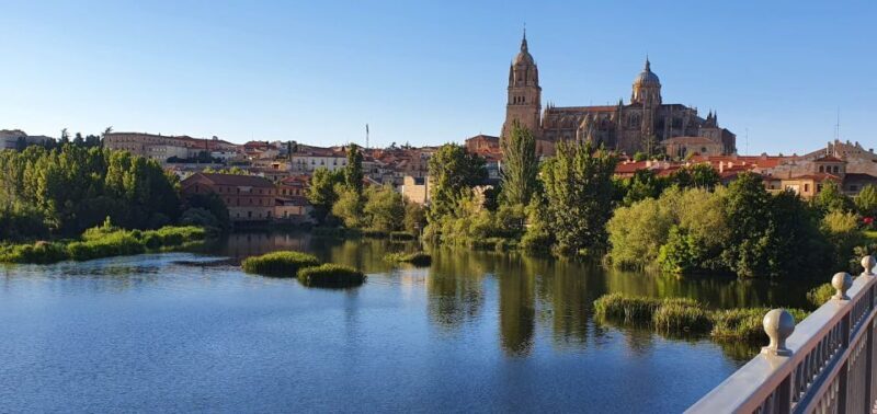 Salamanca: Private Sightseeing & Cultural Walking Tour - The Experience from Travelers’ Perspectives