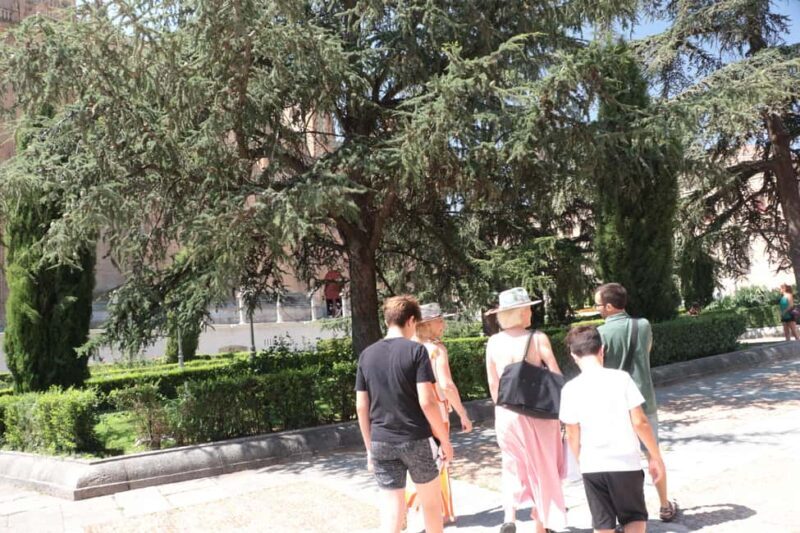 Salamanca: Private Walking Tour with a Local - Exploring Salamanca with a Local Guide: What to Expect