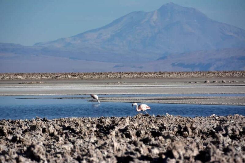 Salar de Atacama and altiplanic lagoons - Key Points