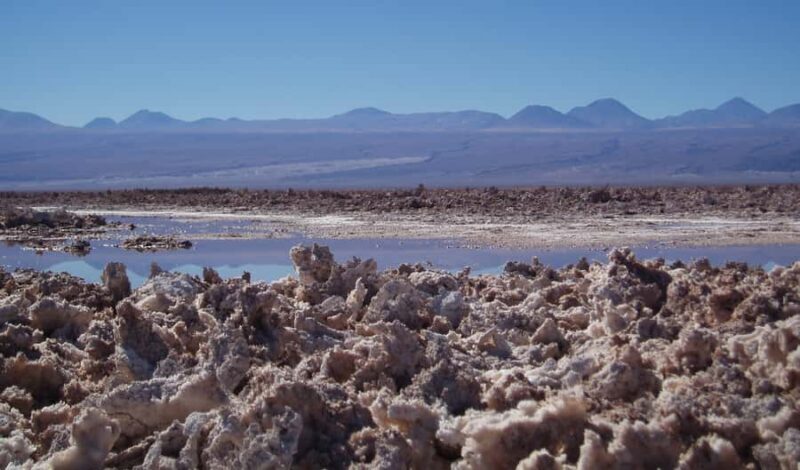Salar de Atacama and altiplanic lagoons - Detailed Review of the Salar de Atacama and Altiplanic Lagoons Tour