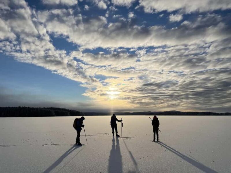 Sälen: Ice Skating Tour with Lunch and Hotel Pickup - The Experience in Detail