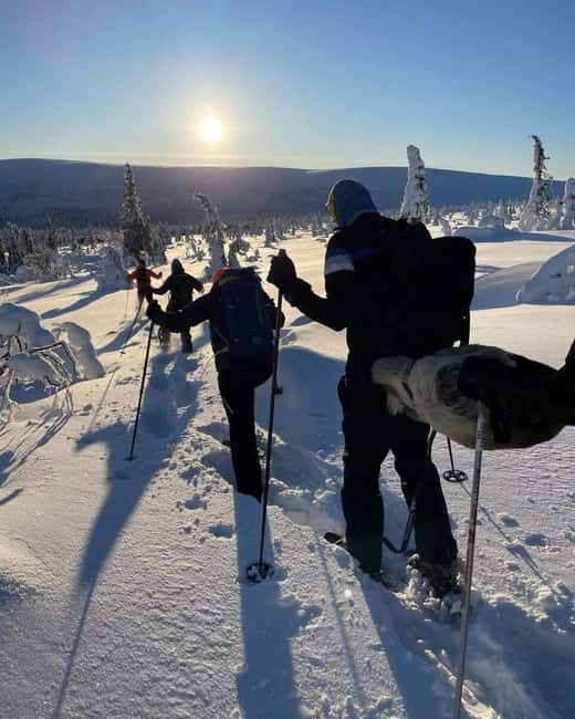 Sälen: Snowshoe Rental - Sälen: Snowshoe Rental — A Practical Guide to Winter Wilderness Exploration