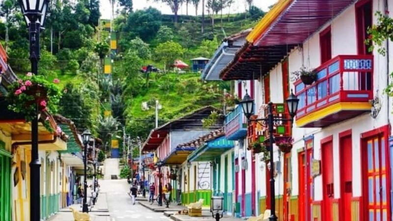 Salento and Cocora Valley Full Plan from Pereira or Armenia - Who Will Love This Tour?