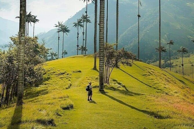 Salento, Cocora and Filandia Private Tour from Pereira or Armenia - A Deep Dive into the Experience