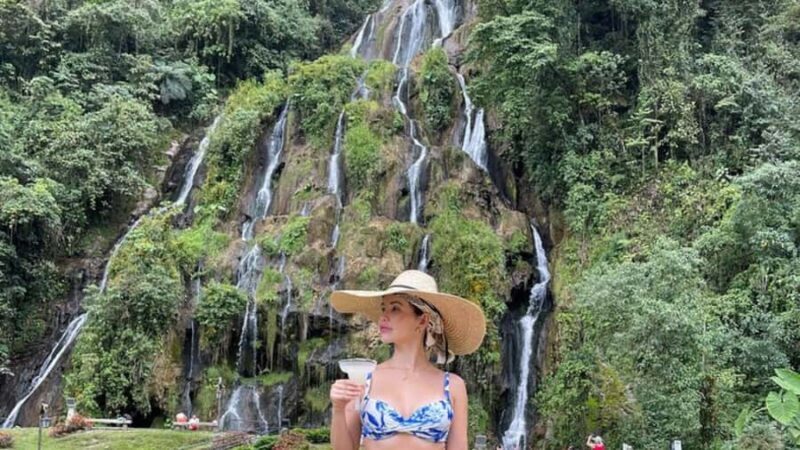 Salento, Cócora and Hot Springs Tour from Pereira or Armenia - The Sum Up: The Right Choice for Adventurous and Curious Travelers