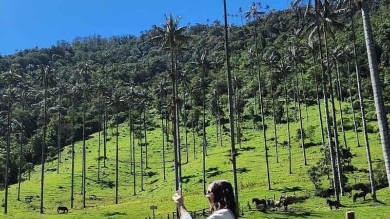 Salento, Cócora + Horseback Riding from Pereira or Armenia - The Sum Up