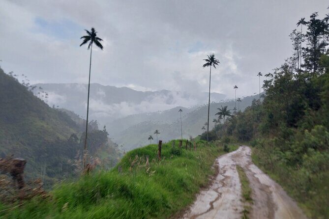 Salento, Cradle of wax palm, Carbonera Hike Tour - Key Points